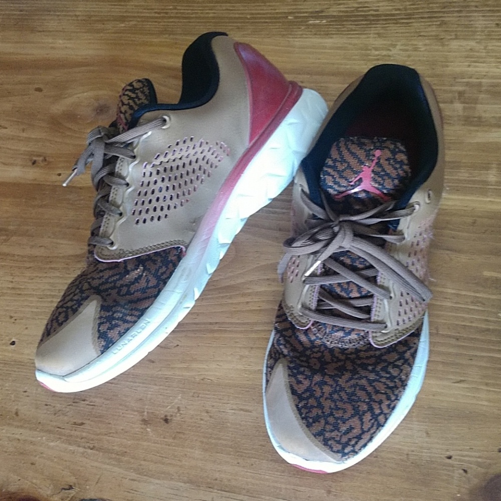 Air Jordan Trainer ST premium ale brown
